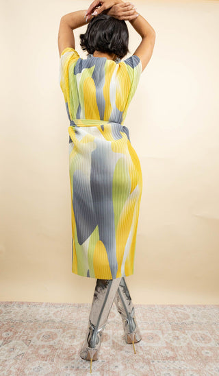 Yellow Spring Multicolored Dress
